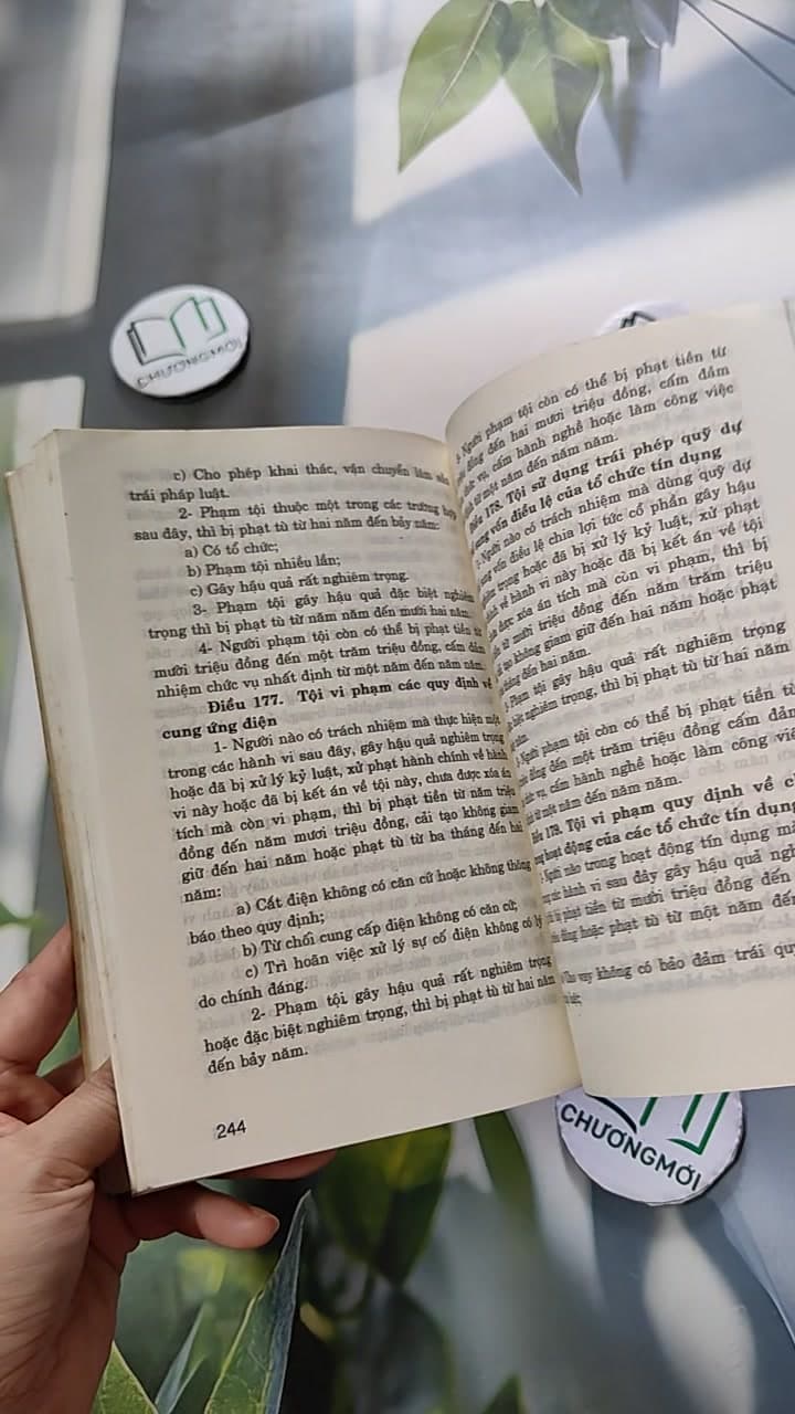 Tìm Hiểu Các Tội Xâm Phạm Chế Độ Hôn Nhân - Gia Đình Và Các Tội Phạm Đối Với Người Chưa Thành Niên 12