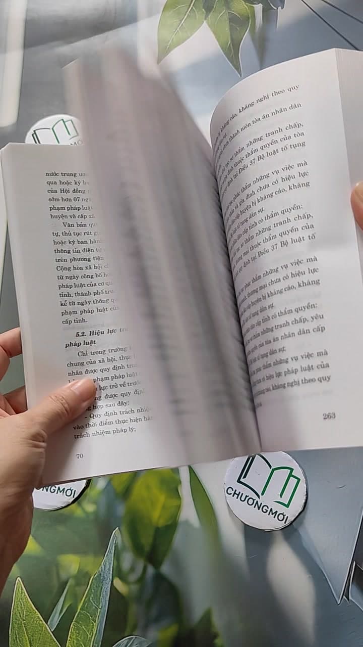 Pháp Luật Đại Cương Dùng Trong Các Trường Đại Học, Cao Đẳng Và Trung Cấp 11