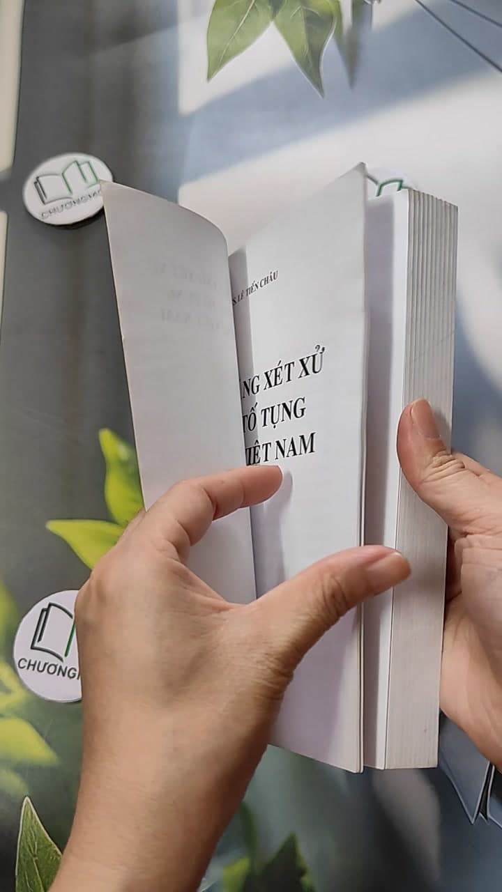 Chức Năng Xét Xử Trong Tố Tụng Hình Sự Việt Nam 6