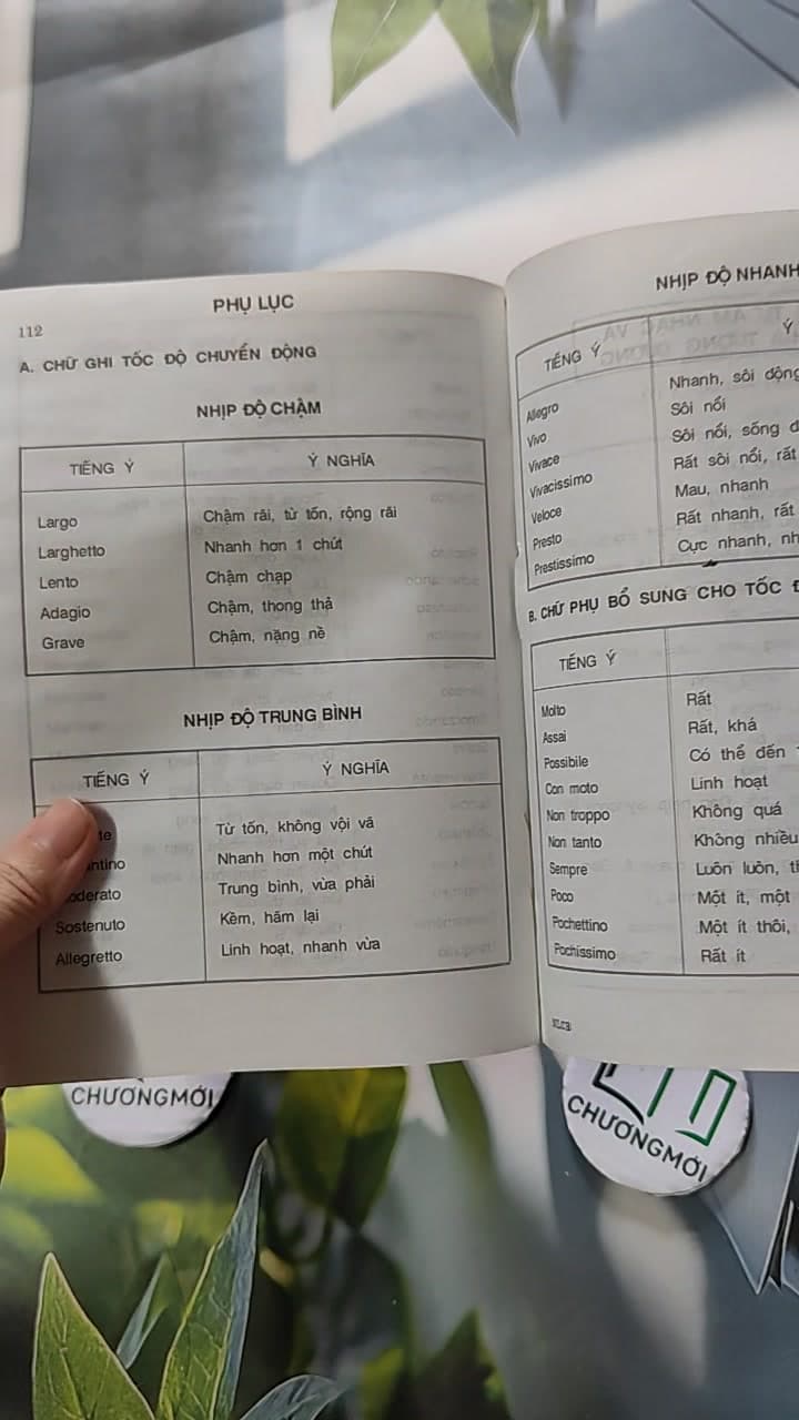 Nhạc Lý Căn Bản Thực Hành 15