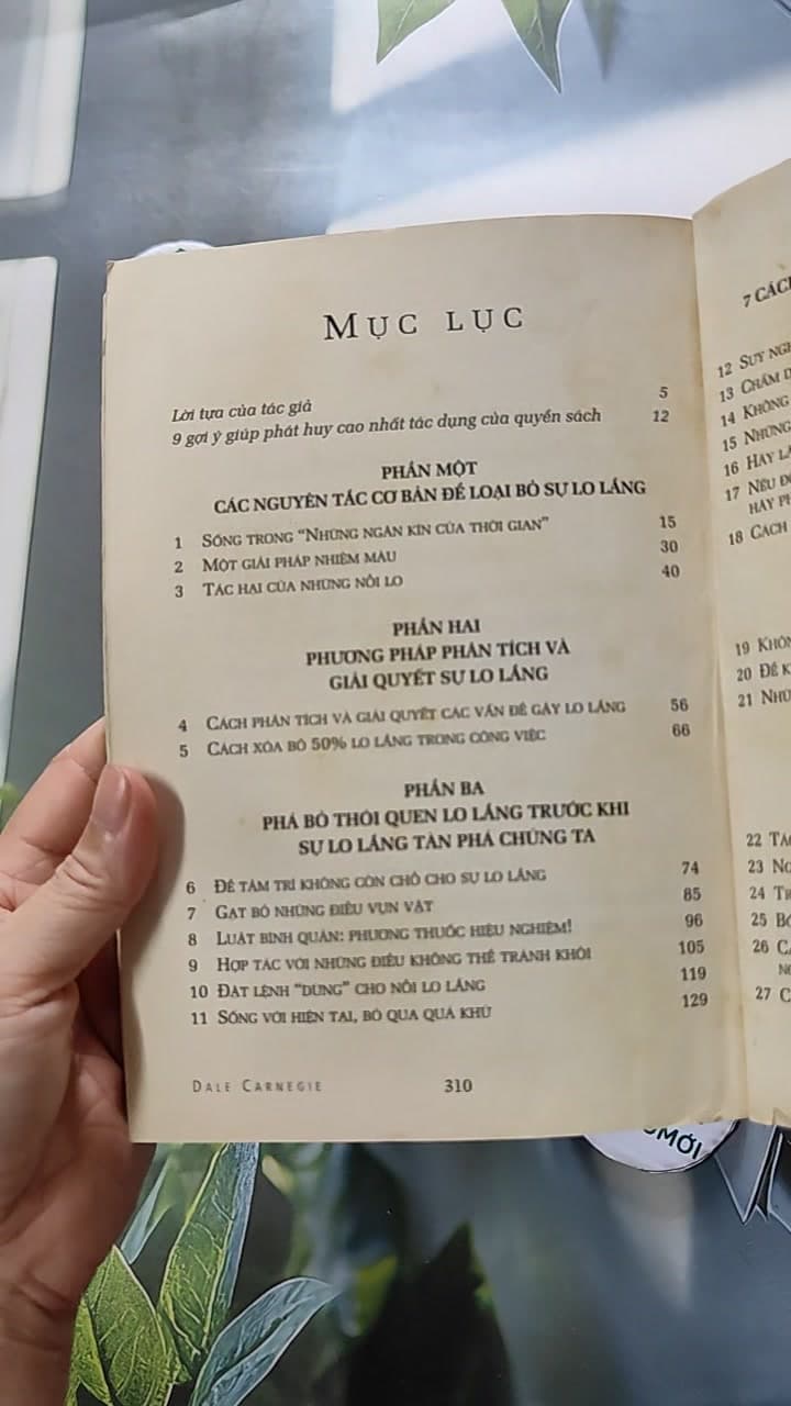 Quẳng Gánh Lo Đi Và Vui Sống 15