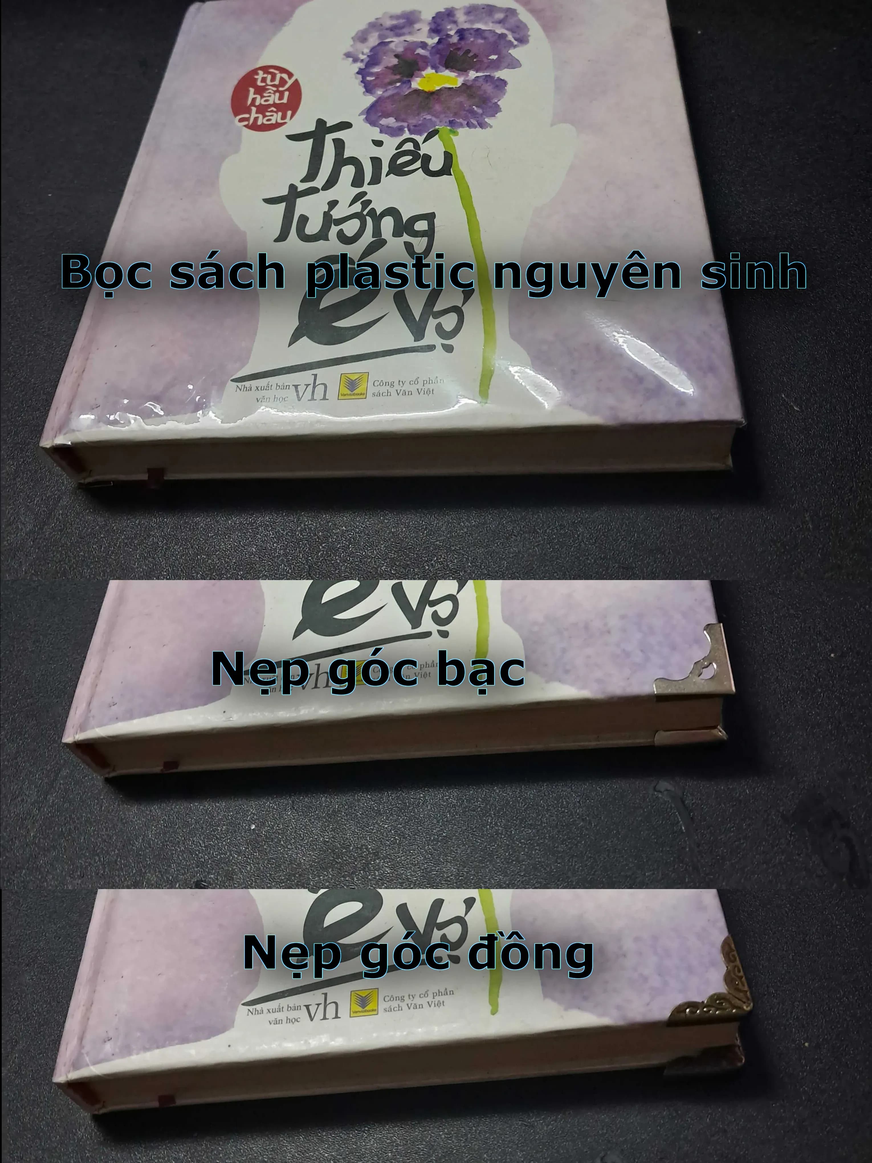 Các Vị Đệ Nhất Phu Nhân Hoa Kỳ 2