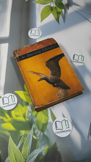 Adventures in American Literature