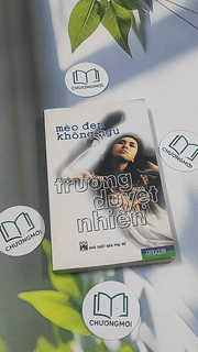 Mèo đen không ngủ