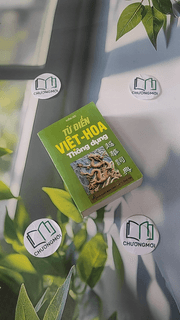 Từ Điển Việt - Hoa