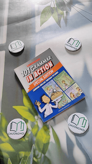 101 Grammar In Action Special Edition: Learning English Through Pictures