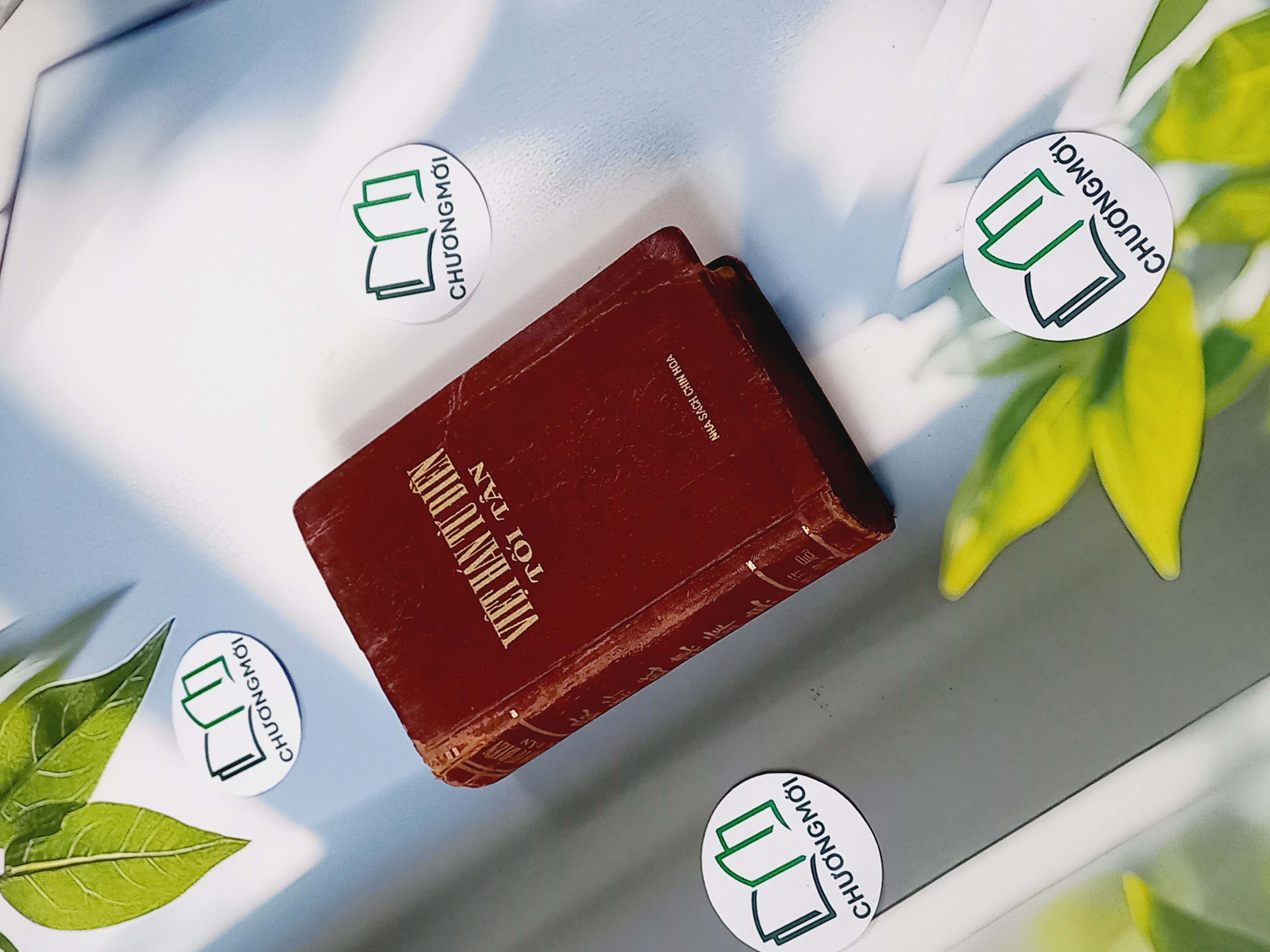 Từ Điển Việt Hán Tối Tân