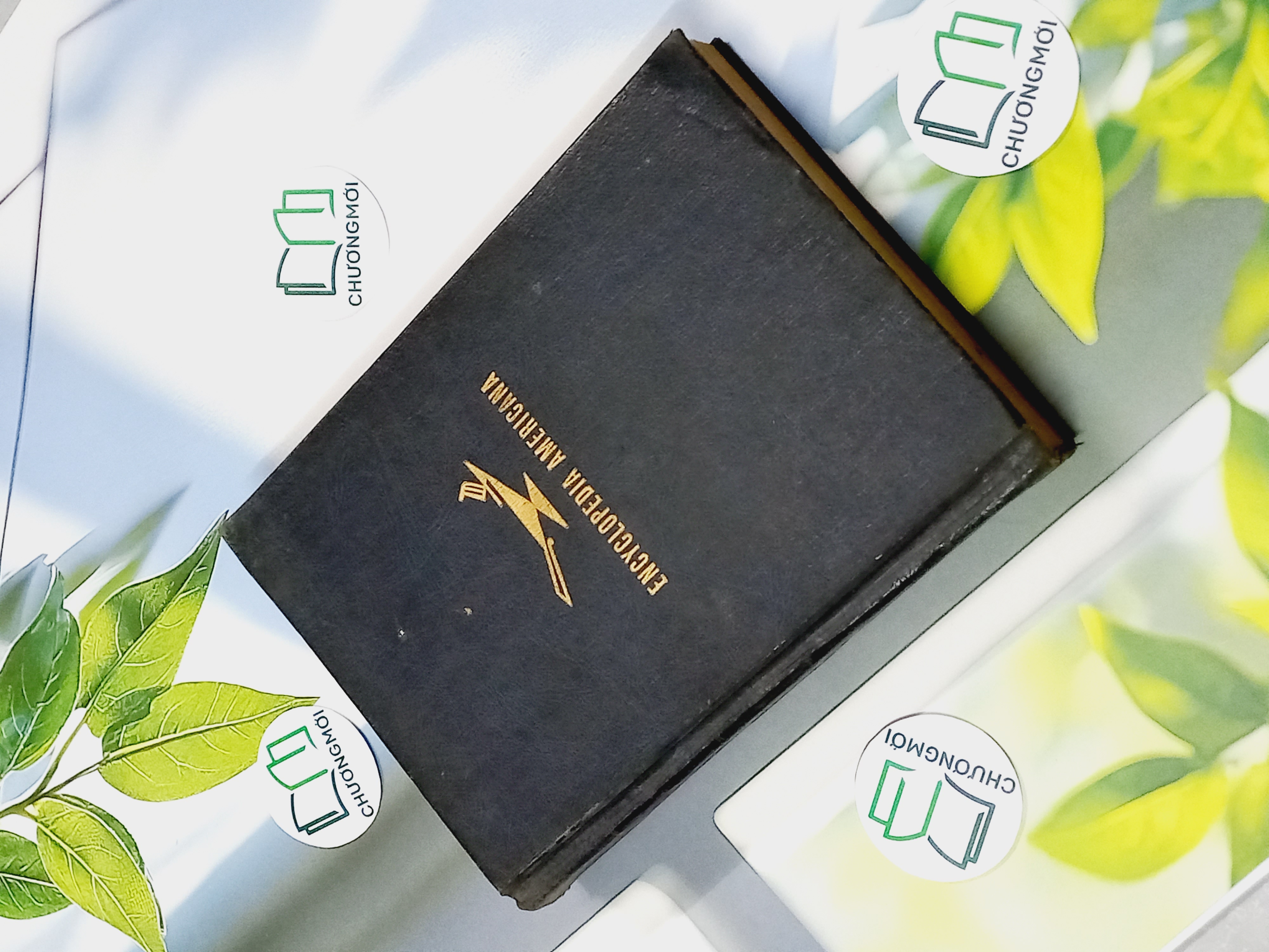 Encyclopedia Americana 30