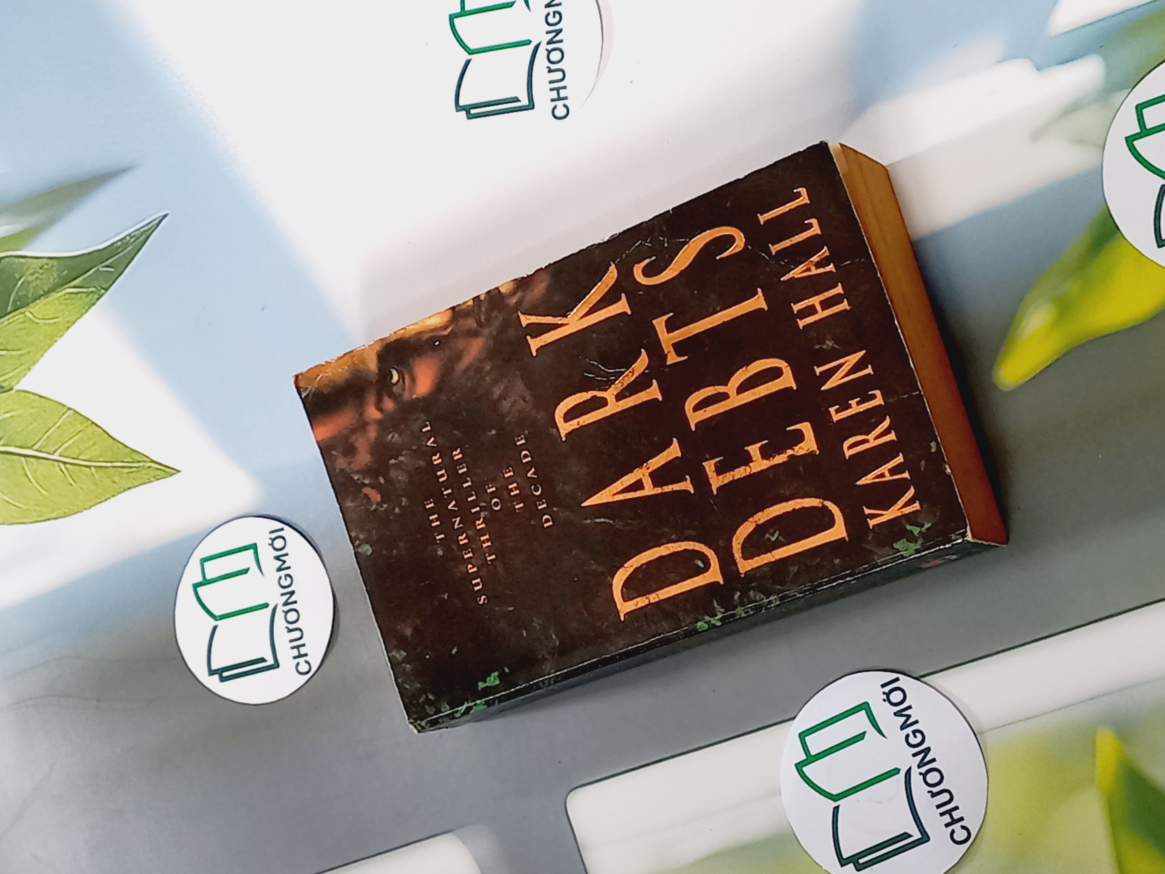 Dark Debts