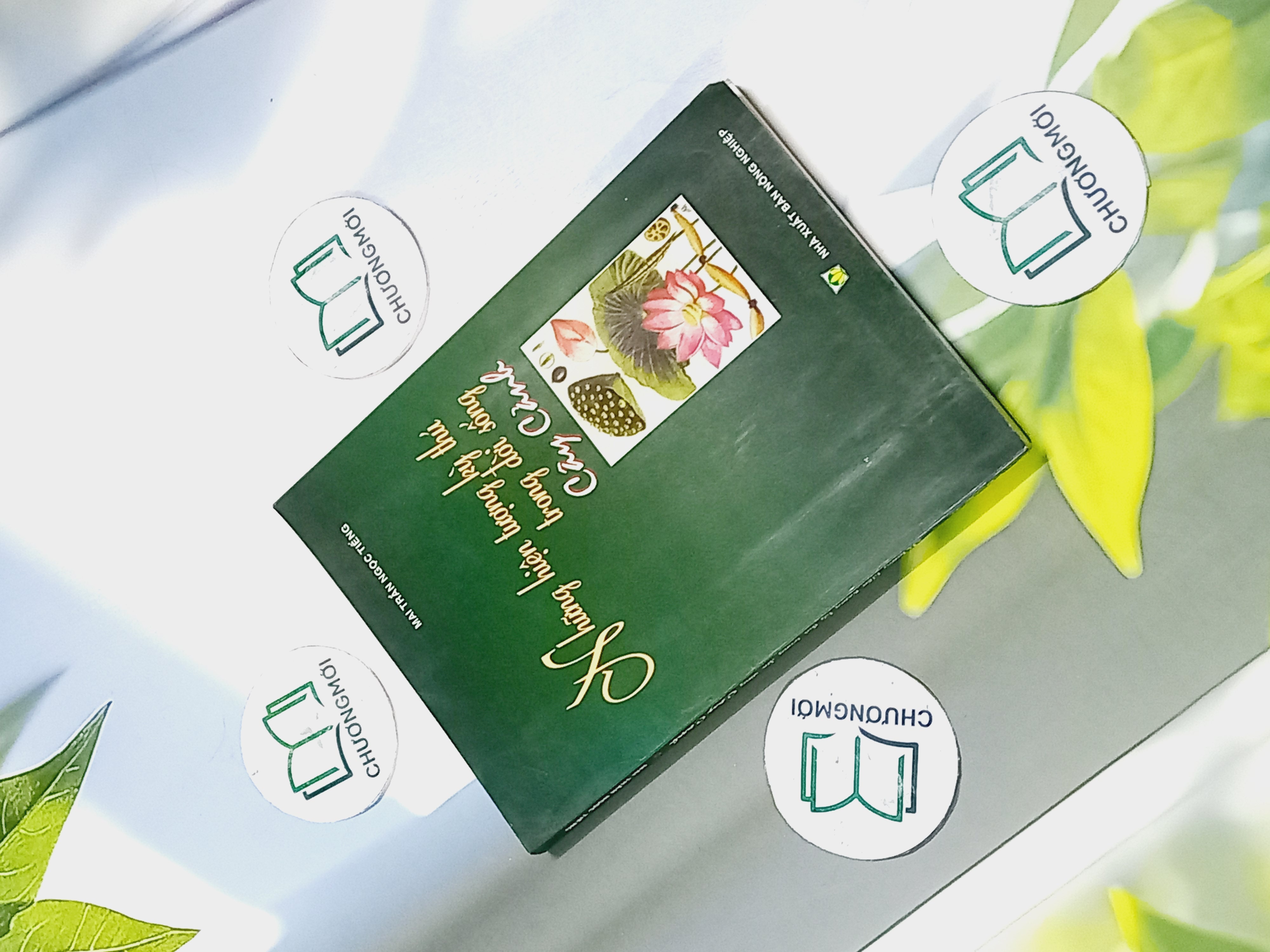 Những Hiện Tượng Kỳ Thú Trong Đời Sống Cây Cảnh