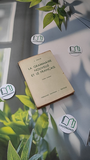 La Grammaire Nouvelle Et Le Français