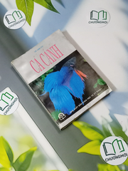 Cá Cảnh